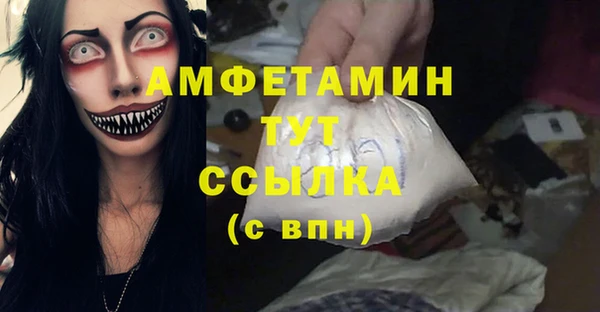 молекула духа Алексеевка