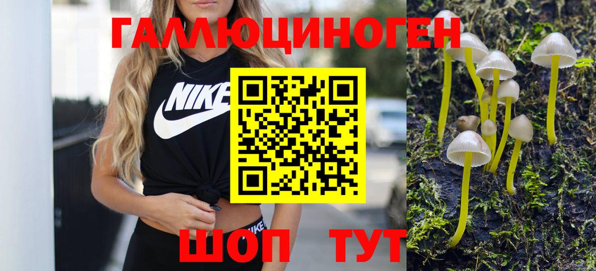Галлюциногенные грибы Psilocybe  Вход с VPN  Киров 